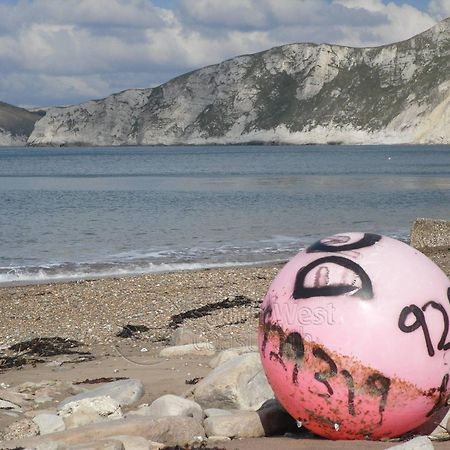 Home In Dorset, Near Jurassic Coast And Arne Wareham Exteriör bild