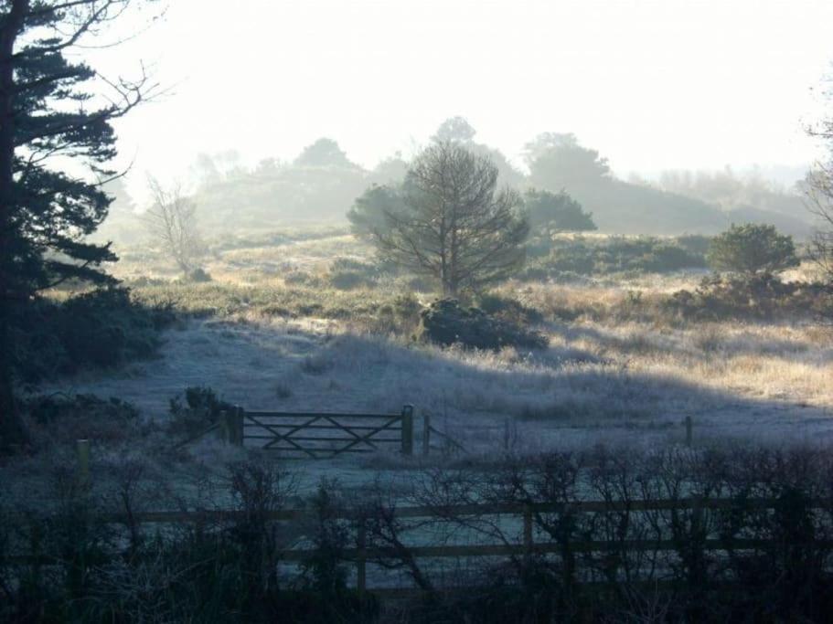 Home In Dorset, Near Jurassic Coast And Arne Wareham Exteriör bild