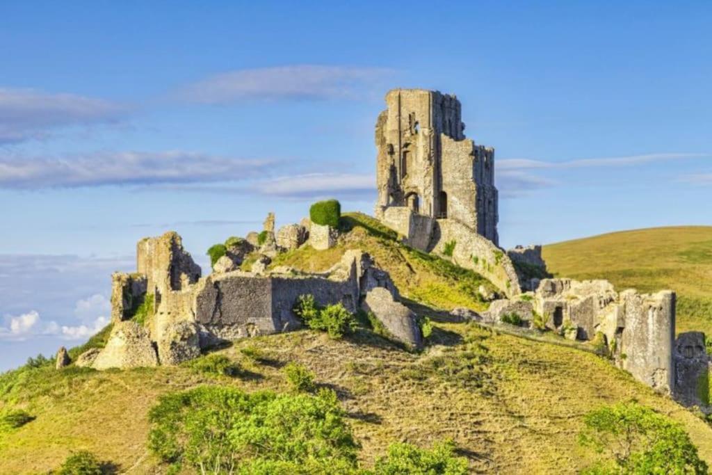 Home In Dorset, Near Jurassic Coast And Arne Wareham Exteriör bild