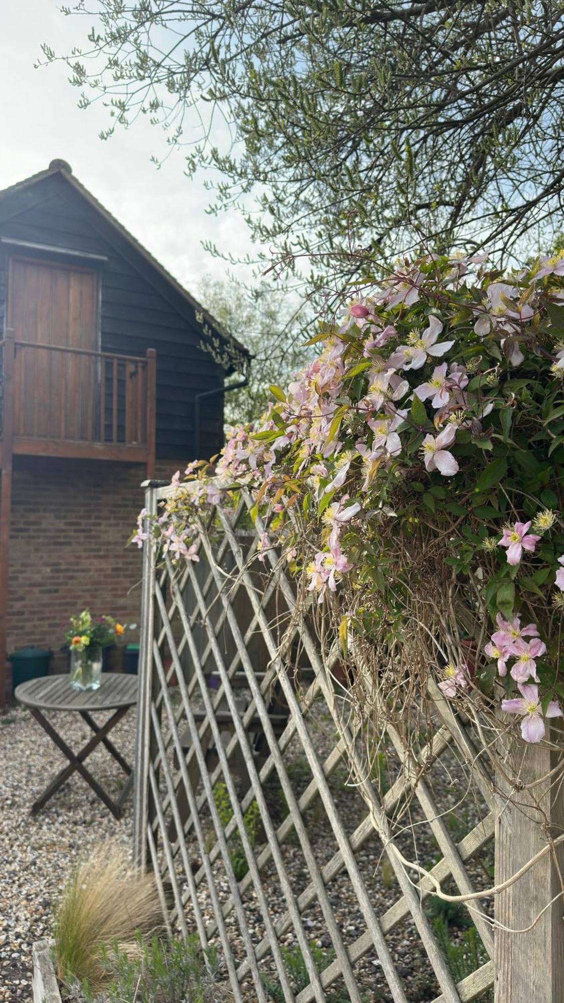 Home In Dorset, Near Jurassic Coast And Arne Wareham Exteriör bild
